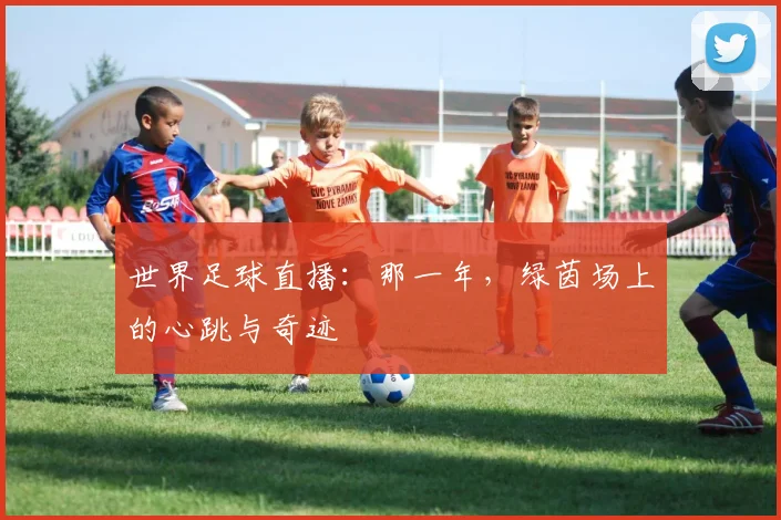 世界足球直播:那一年,绿茵场上的心跳与奇迹