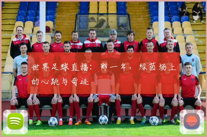 世界足球直播：那一年，绿茵场上的心跳与奇迹