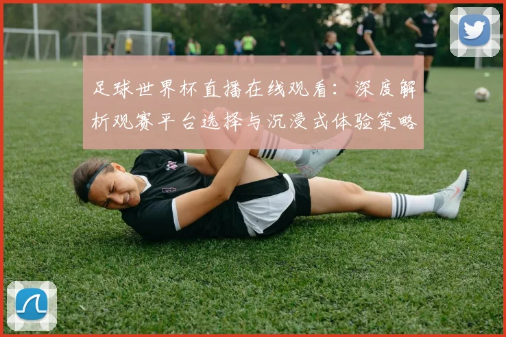 足球世界杯直播在线观看：深度解析观赛平台选择与沉浸式体验策略